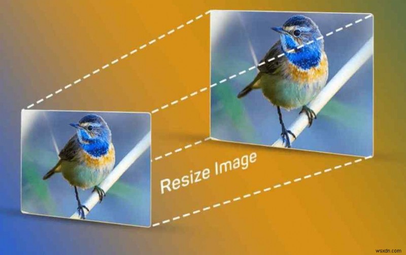 Windows 11 में एक साथ कई छवियों का आकार कैसे बदलें
