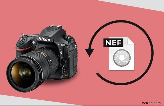 Nikon कैमरा से डिलीट हुई फोटोज को कैसे रिकवर करें
