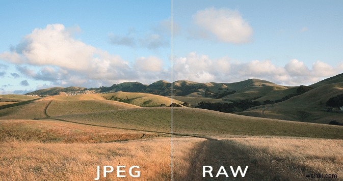 RAW बनाम JPEG:कौन सा सबसे अच्छा है और क्यों?