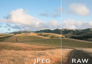 RAW बनाम JPEG:कौन सा सबसे अच्छा है और क्यों?