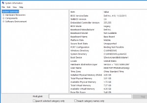 Windows 10 में सिस्टम इंफॉर्मेशन टूल में एक विस्तृत रूप
