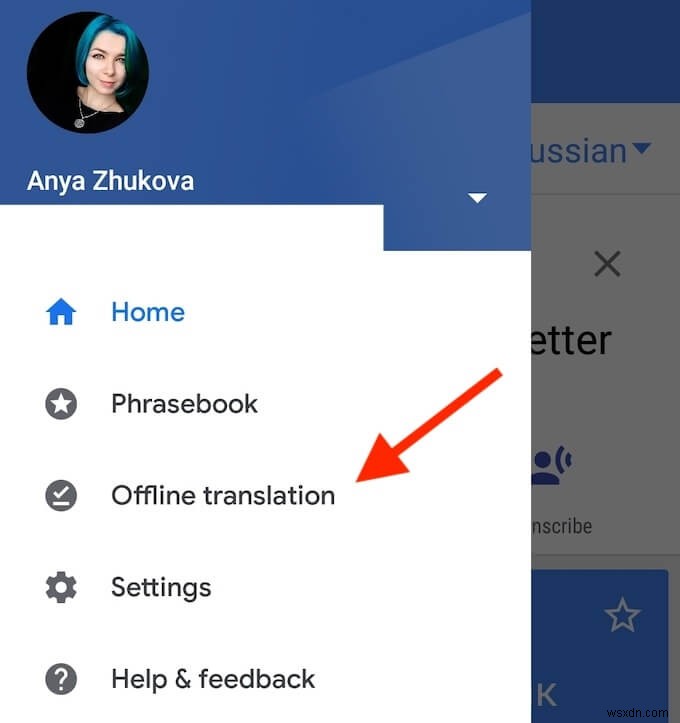Google अनुवाद बनाम बिंग अनुवादक:बेहतर भाषा उपकरण कौन सा है? 