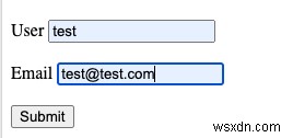 HTML फॉर्म एक्शन एट्रिब्यूट में महारत हासिल करना:एक चरण-दर-चरण मार्गदर्शिका 