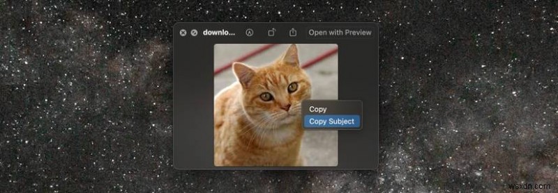 MacOS पर सहज पृष्ठभूमि हटाना:Mac उपयोगकर्ताओं के लिए त्वरित मार्गदर्शिका 