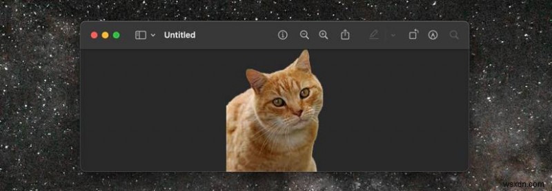 MacOS पर सहज पृष्ठभूमि हटाना:Mac उपयोगकर्ताओं के लिए त्वरित मार्गदर्शिका 