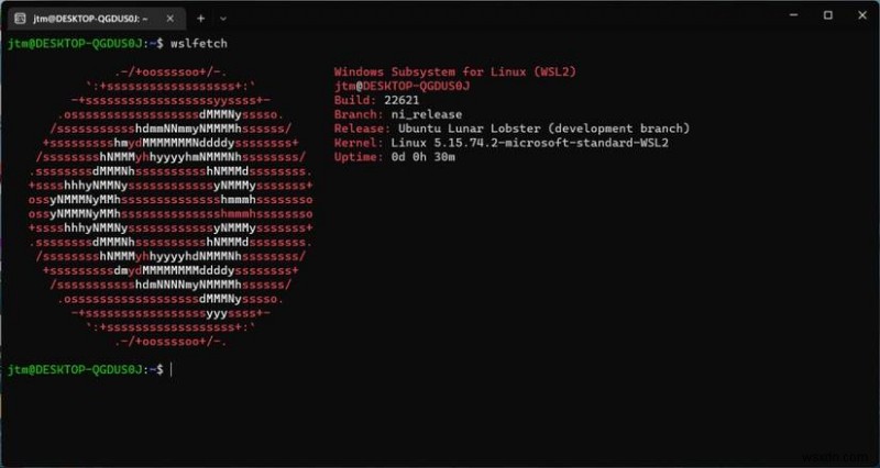 WSL के लिए Ubuntu पूर्वावलोकन का उपयोग करके विंडोज़ पर Ubuntu डेली बिल्ड चलाएँ 