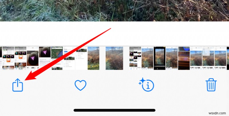 तेज़, विश्वसनीय गाइड:मिनटों में iPhone फ़ोटो को Windows 11 में स्थानांतरित करें 