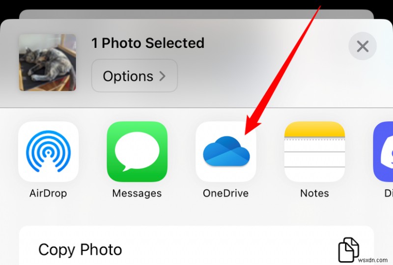 तेज़, विश्वसनीय गाइड:मिनटों में iPhone फ़ोटो को Windows 11 में स्थानांतरित करें 