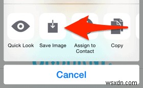 चरण-दर-चरण मार्गदर्शिका:किसी भी छवि को अपने iPhone वॉलपेपर के रूप में कैसे स्थानांतरित करें और सेट करें 