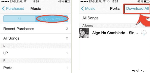 iCloud से अपने iPhone या iPad पर MP3 डाउनलोड करें:2 आसान तरीके 