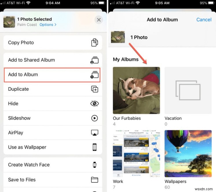 अपने iPhone फोटो लाइब्रेरी में महारत हासिल करें:आसान संगठन के लिए 5 विशेषज्ञ युक्तियाँ 