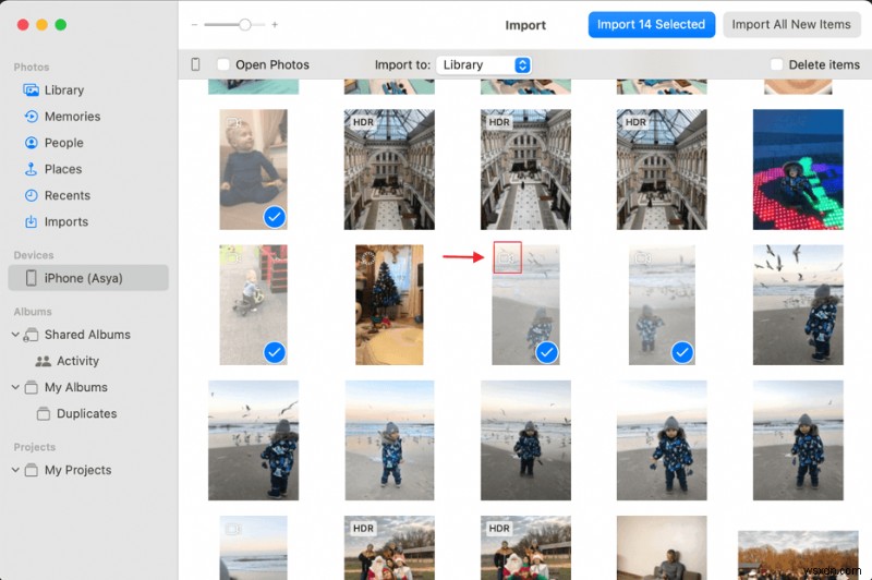 आसान गाइड:विंडोज़ और मैक पर iPhone वीडियो को डीवीडी में बर्न करें 