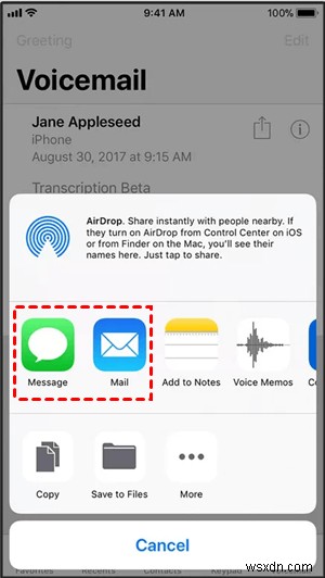 iPhone वॉइसमेल को सुरक्षित रूप से कैसे संग्रहीत करें:4 सिद्ध तरीके 