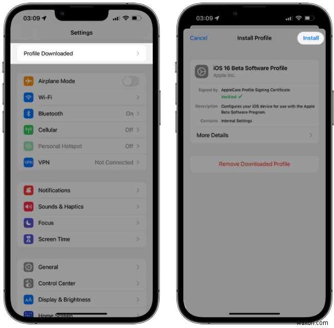 iOS 16/17/18 बीटा आपके iPhone पर दिखाई नहीं दे रहा है? त्वरित समाधान एवं समस्या निवारण 