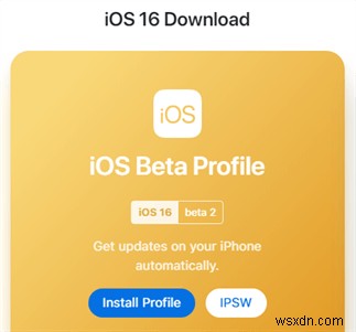 iOS 16/17/18 बीटा आपके iPhone पर दिखाई नहीं दे रहा है? त्वरित समाधान एवं समस्या निवारण 