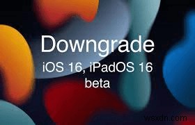 चरण-दर-चरण मार्गदर्शिका:iPadOS 18 बीटा से iPadOS 17 में अपग्रेड करना 
