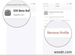 चरण-दर-चरण मार्गदर्शिका:iPadOS 18 बीटा से iPadOS 17 में अपग्रेड करना 