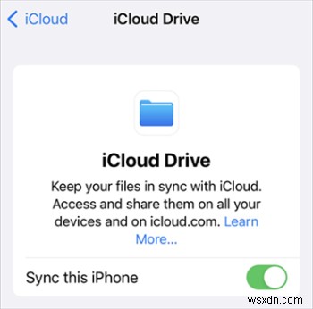 iPhone फ़ोटो को अपने कंप्यूटर पर कैसे स्थानांतरित करें:6 सरल तरीके 