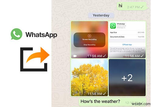 Syncios के साथ WhatsApp फ़ोटो और वीडियो ट्रांसफर करें - तेज़, सुरक्षित और आसान 