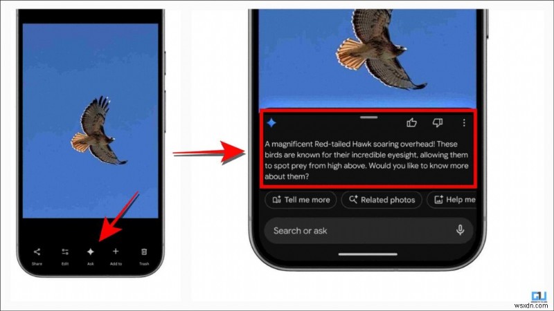Google फ़ोटो ने 6 AI विशेषताएँ पेश कीं:एक का प्रदर्शन ख़राब, एक का उत्कृष्ट प्रदर्शन—पूर्ण समीक्षा 
