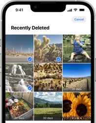 iOS 17.5 फोटो बग:iPhone पर पुनर्जीवित छवियों को स्थायी रूप से कैसे हटाएं 