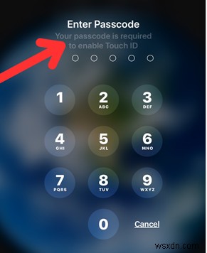 बिना Apple ID पासवर्ड के अपने iPad को फ़ैक्टरी रीसेट करने की पूरी गाइड (2026) 
