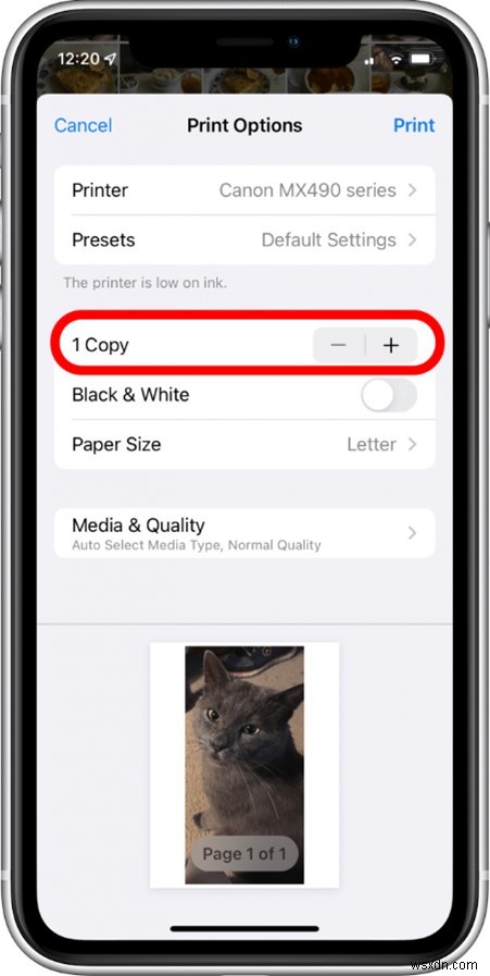 अपनी iCloud, iPhone और Mac फ़ोटो प्रिंट करें:चरण-दर-चरण मार्गदर्शिका 