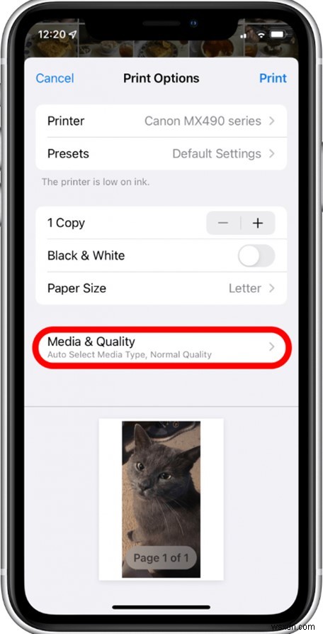 अपनी iCloud, iPhone और Mac फ़ोटो प्रिंट करें:चरण-दर-चरण मार्गदर्शिका 
