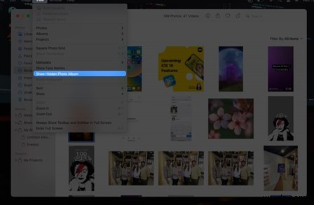 iPhone पर फ़ोटो छिपाएँ और दिखाएँ:निजी फ़ोटो प्रबंधन के लिए विशेषज्ञ मार्गदर्शिका 