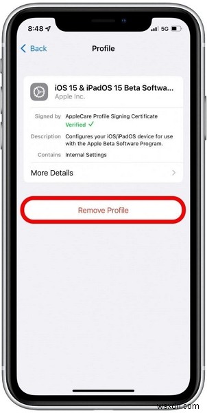 iOS 26 रिलीज़:आपका iPhone अपडेट क्यों नहीं होगा और इसे कैसे ठीक करें 