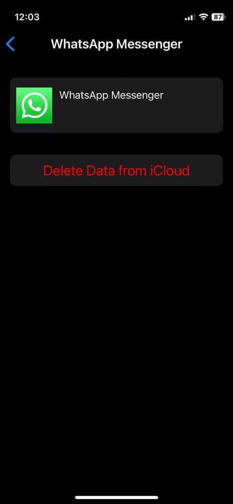 iCloud पर व्हाट्सएप का बैकअप न लेने की समस्या को ठीक करें:7 विश्वसनीय समाधान 