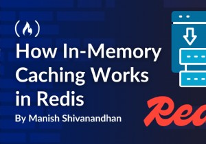 रेडिस के साथ इन-मेमोरी कैशिंग में महारत हासिल करना:तेज़, विश्वसनीय डेटा पुनर्प्राप्ति 