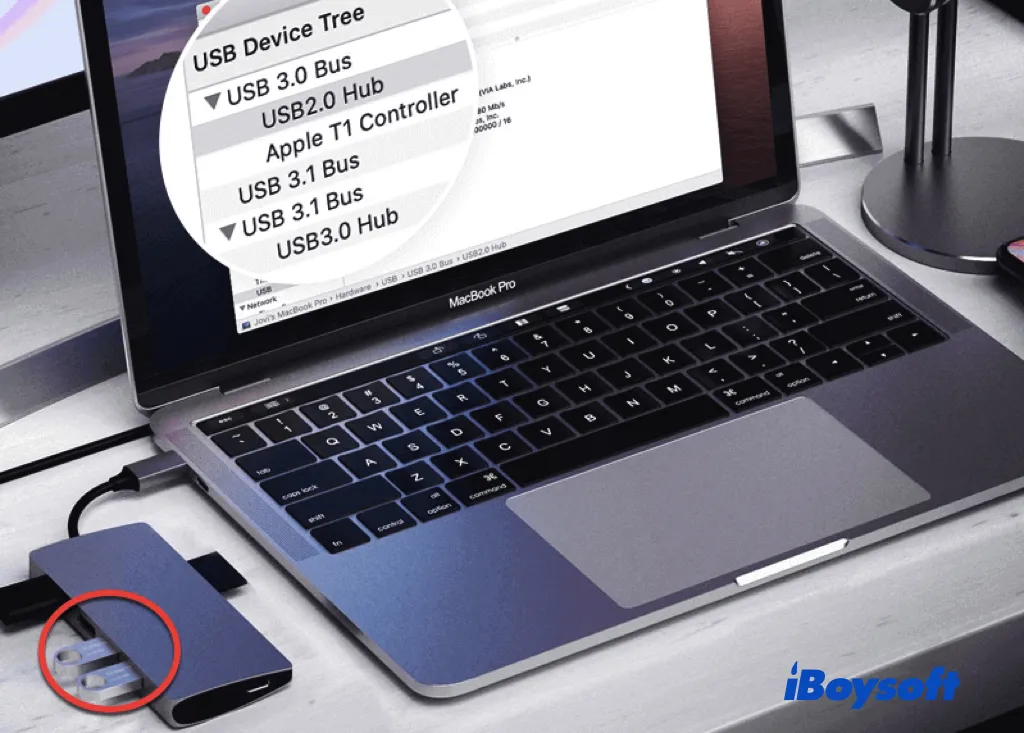 Mac पर USB फ़्लैश ड्राइव का पता नहीं चलने का समाधान करें—डेटा हानि के बिना सुरक्षित समाधान 