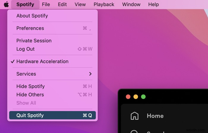 अपने Mac से Spotify को पूरी तरह से हटाएँ:दो सरल तरीके 
