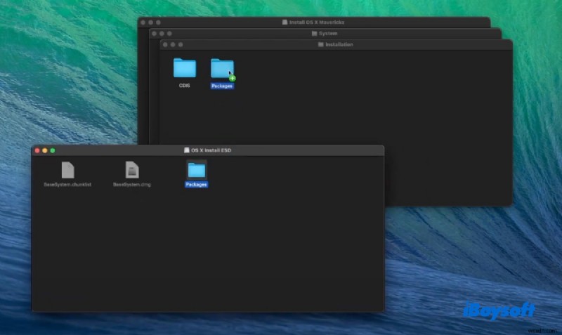 OS 