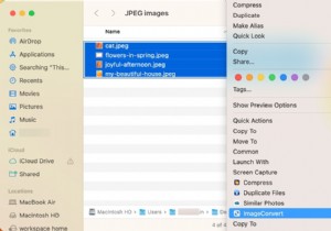 त्वरित और आसान मार्गदर्शिका:अपने मैक पर JPEG को JPG में कनवर्ट करें 