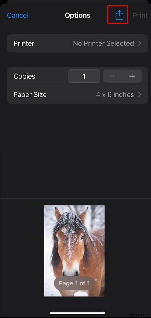 अपने iPhone पर PDF बनाएं:त्वरित और आसान मार्गदर्शिका 