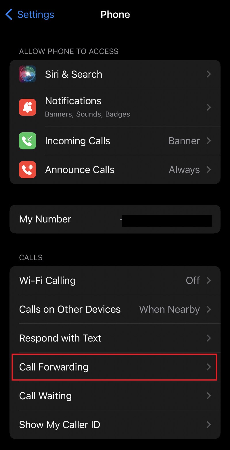iPhone पर अनुपलब्ध विज़ुअल वॉइसमेल को हल करने के लिए 11 समाधान 