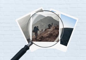 किसी की भी तस्वीरें ढूंढें:त्वरित ऑनलाइन खोज तकनीकें 